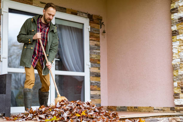 Best Furniture Removal Near Me  in Lynwood, CA
